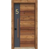 Neon Kapı Daire Numarası 1 mm Gold ve Gümüş Ayna Pleksi Yapışkanlı