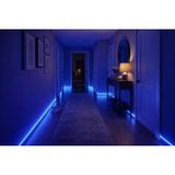 Neon LED Şerit Mavi 5 Metre DC 12V IP65 Dış Mekân Uyumlu Esnek Aydınlatma