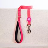 Neon Pembe Leash Kedi Köpek Sevk & Gezdirme Kayışı Köpek Uzatma Tasması