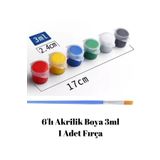 NEON PLUS 6 Renk Akrilik Boya 3ml ve 1 Adet Fırça, Etkinlik Boyama, Workshop, Tuval Boyama