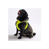 Neon Sarı Air-mesh Göğüs Tasması Kedi Köpek Göğüs Tasması Neon Sarı L