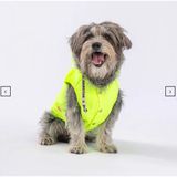 Neon Sarı Su Itici Köpek Yağmurluğu