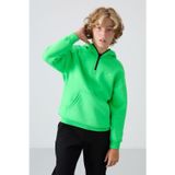 Neon Yeşil Pamuklu Kalın İçi Tüylü Standart Fit Nakışlı Erkek Çocuk Sweatshirt - 11244