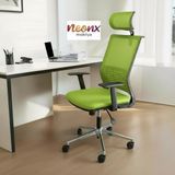 Neonx|spring Müdür Koltuğu|ultra Ergonomik|bel Destekli - Yeşil