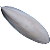 NEOPERL Kalamar Kemiği Mürekkep Balığı Kemiği 10-12 cm