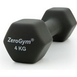 Neopren Kaplı Içi Demir Dambıl Dumble - 1 x 4 kg