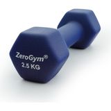 Neopren Kaplı Içi Demir Dambıl Dumble - 2,5 kg
