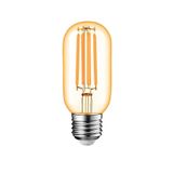 Neovista T45 Gemici Rustik Led Ampul 4w E27 Duy 2700k Amber Cam Dekoratif Vintage Aydınlatma