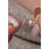 Nereze 925 Ayar Gümüş Minimal Zirkon Taşlı Rose Top Küpe