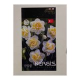 Nergis Çiçek Soğanı İthal İri Boy Duble Soğan 3 Adet SPTN57282992