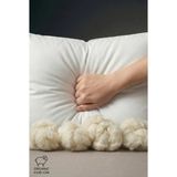 Nesco 4 Adet %100 Yün Dolgulu 50X70 Baş Yastığı | %100 Pamuk Dış Yüzeyli Organik Yastık 50X70 1.5 kg - 50 x 70 cm - Bej
