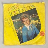 Neşe Karaböcek Sevda Yolu - Kime Niyet Kime Kısmet 45 Lik Plak (Orijinal 1974 Dönem Baskı Plak)