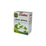 Neşe Natural 40'lı Süzen Poşet Ginko Biloba Bitki Çayı