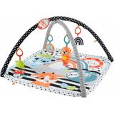 Neşeli Hayvanlar 3'ü 1 Arada Jimnastik Merkezi HBP41 - Multicolor