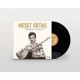 Neşet Ertaş Bozkırın Tezenesi 1 Plak