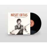 Neşet Ertaş Bozkırın Tezenesi 2 Plak