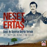 Neşet Ertaş-gönül Ne Gezersin Seyran Yerinde / İki Büyük Nimetim Var (plak)
