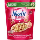 Nesfit Kabak Çekirdekli Turna Yemişli Granola 300 G (6'Li Paket)