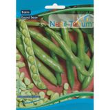 Nesil Bakla Tohumu 25 GRam