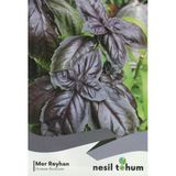 Nesıl Mor Reyhan -Feslegen Tohumu (100 Adet)