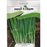 Nesil Yeşil Soğan Tohumu 5 GRam