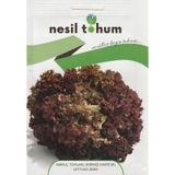 NesilMarul Tohumu Kırmızı Kıvırcık 3 GR