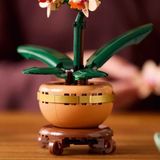 Nessi World Botanicals Mini Orkide 10343