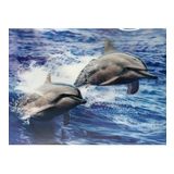 Nessiworld 5D Elmas Boyama Sevimli Yunuslar Ikili Yunus Resmi Tablosu 30X40 Cm