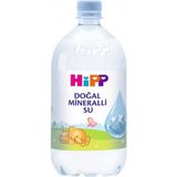 Nessiworld Hipp Doğal Mineralli Su 1 Lt