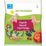 NessiWorld Organik Meyveli Tahıl Patlağı 30 gr - Diğer