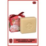 Nesti Dante 200 gr Gli Officinali Camellia & Cinnamon Sabun