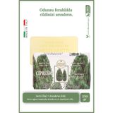 Nesti Dante Dei Colli Fiorentini Cipresso Katı Sabun 250 gr | Servi Özü | Canlandırıcı | Banyo Sabunu