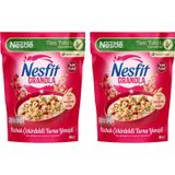 Nestle Nesfit Granola Kabak Çekirdekli Turna Yemişli 300 gr x 2 Adet