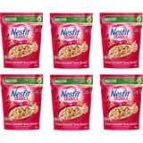 Nestle Nesfit Kabak Çekirdekli Turna Yemişli Granola 300 gr x 6 Adet