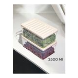 Nesto Home 2'li Set Derin 2500 ml Buzdolabı Düzenleyici Buzluk Ve Mikrodalga Saklama Kabı 2x2500