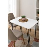 NESU EV Nova 60x90 Metal Ayaklı Mutfak ve Yemek Masası