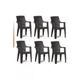 Netbazaars 6 Adet Gold Balkon Bahçe Plastik Kamp Sandalyesi (Acı Kahve) Xömbx98