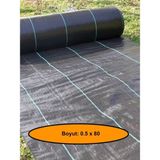 NetBazaars Jut Zemin Kaplama Malzemesi, Çim Çıkarmaz, 0,5X80 Metre