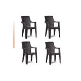 Netbazaars Plastik Sandalye 4 Adet Gold Balkon Bahçe Kamp Mobilya (Acı Kahve) Xömbx98