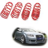 Netron Audi A3 8p Spor Yay Helezon 45MM/45MM 2003-2013 Coil-Ex