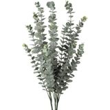 Netten Evime 3lü Set Yapay Çiçek Pastel Yeşil Okaliptus 3Dallı Uzun Dal 76 cm Eucalyptus