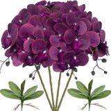 Netten Evime 4lü Set Yapay Çiçek Koyu Mor Islak Orkide ve 2 Adet Orkide Yaprağı Gerçeksi Doku Uzun Dal 90 cm