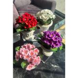 Netten Evime 4lü Set Yapay Çiçek Krem Antik Saksıda Karışık Renk Kadife Menekşe Gerçekçi Doku 22cm