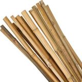 Netten Evime Bambu Sopası 210 cm 19-20mm Bambu Çubuğu 5 ADET
