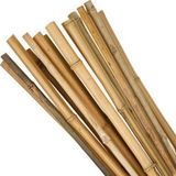 Netten Evime Bambu Sopası 240 cm 18-20mm Bambu Çubuğu 5 ADET