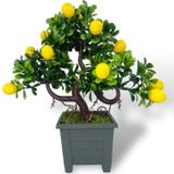 Netten Evime Bonsai Limon Ağacı Dekoratif Yapay Ağaç Yeşil Bonzai 28*23 CM Siyah Kare Saksıda