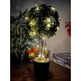 Netten Evime Led Işıklı Şimşir Top Yılbaşı Ağacı Tek Toplu 23cmx45cm Siyah Saksılı