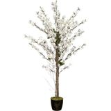Netten Evime Yapay Ağaç Bahardalı Ağacı Beyaz Japon Kiraz Çiçeği Sakura Çiçeği 127x70cm Siyah Plastik Saksılı