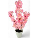 Netten Evime Yapay Ağaç Bahardalı Ağacı Pembe Japon Kiraz Çiçeği Sakura Çiçeği 70 cm Beyaz Plastik Saksılı