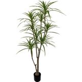 Netten Evime Yapay Ağaç Dracaena Ağacı 8Gövdeli 180cm Premium Kalite
